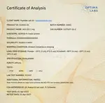 Optima Labs certificate preview for ACE-031